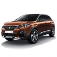 Peugeot 3008 2016-2021